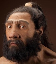 neandertal