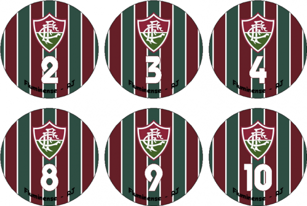 Fluminense-2010-Adidas-Home,-RJ